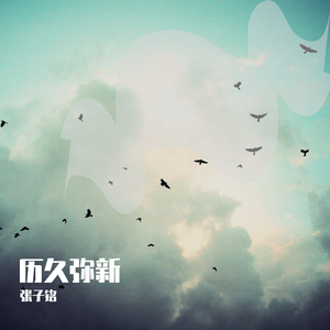 男同成人激烈视频
