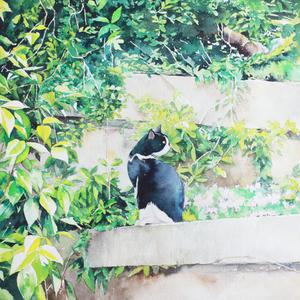 男同成人激烈视频
